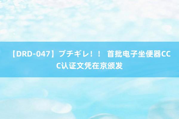 【DRD-047】ブチギレ！！ 首批电子坐便器CCC认证文凭在京颁发