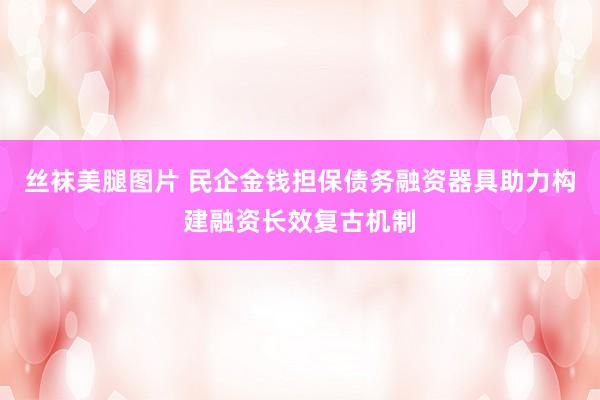 丝袜美腿图片 民企金钱担保债务融资器具助力构建融资长效复古机制