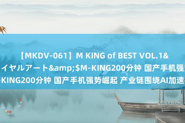 【MKDV-061】M KING of BEST VOL.1</a>2010-11-13ロイヤルアート&$M-KING200分钟 国产手机强势崛起 产业链围绕AI加速布局