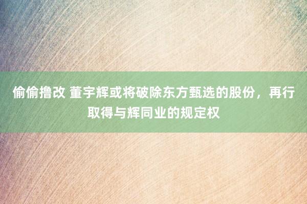 偷偷撸改 董宇辉或将破除东方甄选的股份，再行取得与辉同业的规定权