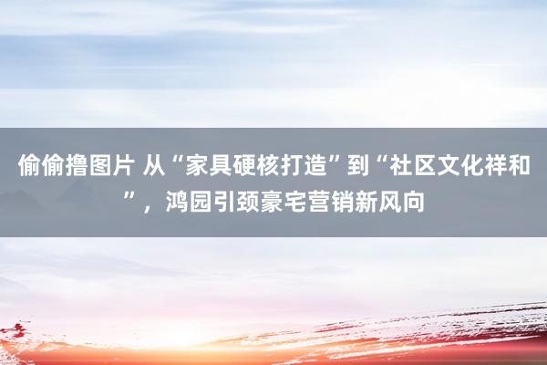 偷偷撸图片 从“家具硬核打造”到“社区文化祥和”，鸿园引颈豪宅营销新风向