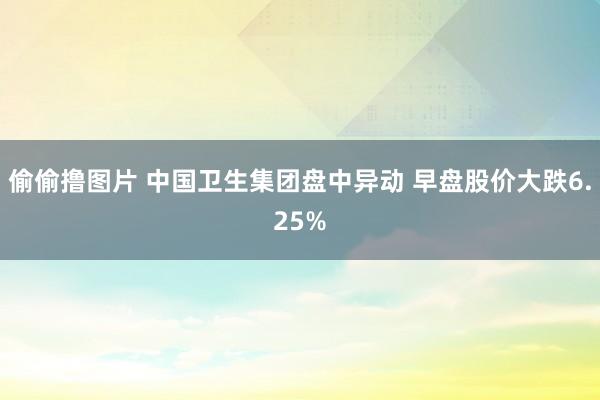 偷偷撸图片 中国卫生集团盘中异动 早盘股价大跌6.25%