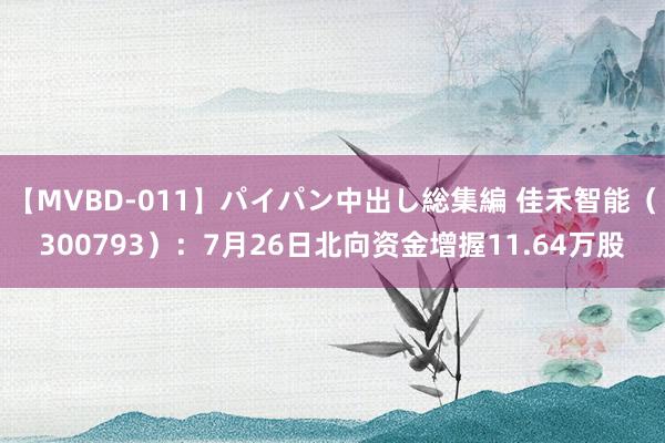 【MVBD-011】パイパン中出し総集編 佳禾智能（300793）：7月26日北向资金增握11.64万股