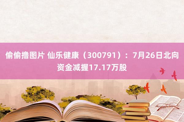 偷偷撸图片 仙乐健康（300791）：7月26日北向资金减握17.17万股