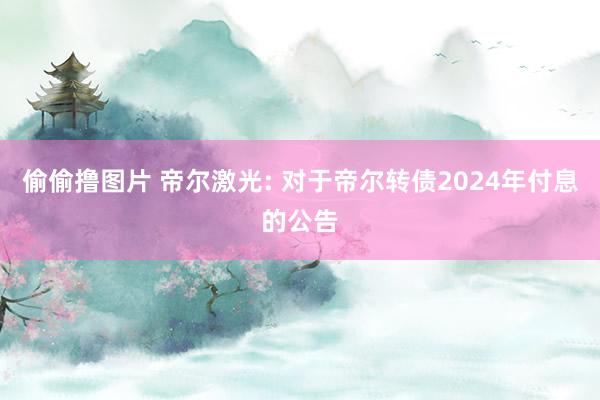 偷偷撸图片 帝尔激光: 对于帝尔转债2024年付息的公告