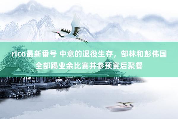 rico最新番号 中意的退役生存，郜林和彭伟国全部踢业余比赛并参预赛后聚餐