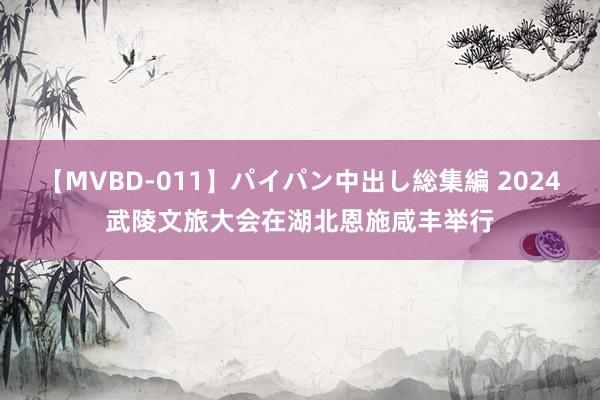 【MVBD-011】パイパン中出し総集編 2024武陵文旅大会在湖北恩施咸丰举行