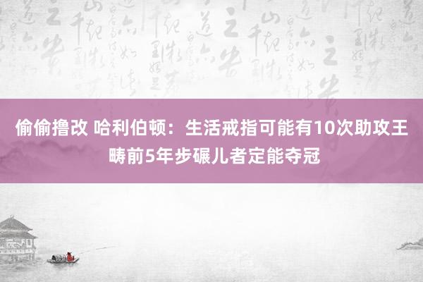 偷偷撸改 哈利伯顿：生活戒指可能有10次助攻王 畴前5年步碾儿者定能夺冠