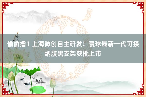 偷偷撸1 上海微创自主研发！寰球最新一代可接纳腹黑支架获批上市