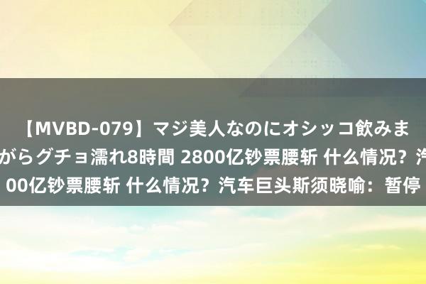 【MVBD-079】マジ美人なのにオシッコ飲みまくり！マゾ飲尿 飲みながらグチョ濡れ8時間 2800亿钞票腰斩 什么情况？汽车巨头斯须晓喻：暂停