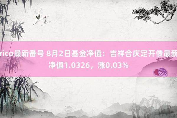 rico最新番号 8月2日基金净值：吉祥合庆定开债最新净值1.0326，涨0.03%