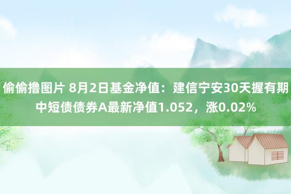 偷偷撸图片 8月2日基金净值：建信宁安30天握有期中短债债券A最新净值1.052，涨0.02%