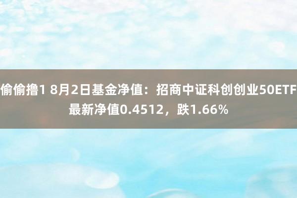 偷偷撸1 8月2日基金净值：招商中证科创创业50ETF最新净值0.4512，跌1.66%