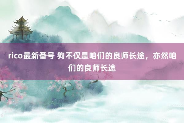 rico最新番号 狗不仅是咱们的良师长途，亦然咱们的良师长途