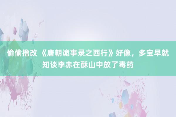 偷偷撸改 《唐朝诡事录之西行》好像，多宝早就知谈李赤在酥山中放了毒药