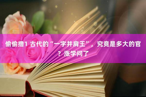 偷偷撸1 古代的“一字并肩王”，究竟是多大的官？涨学问了