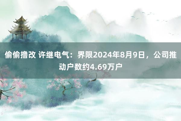 偷偷撸改 许继电气：界限2024年8月9日，公司推动户数约4.69万户