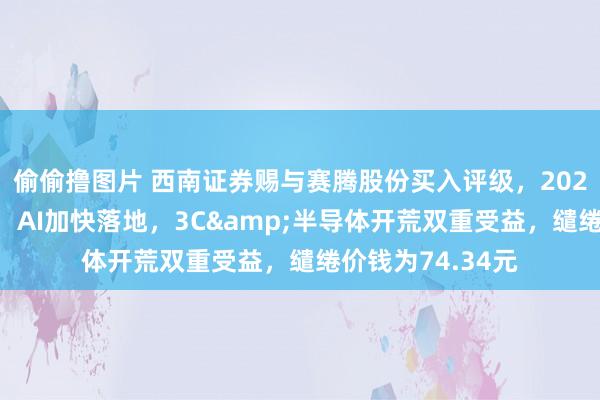 偷偷撸图片 西南证券赐与赛腾股份买入评级，2024年半年报点评：AI加快落地，3C&半导体开荒双重受益，缱绻价钱为74.34元