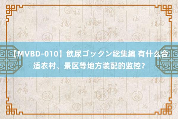 【MVBD-010】飲尿ゴックン総集編 有什么合适农村、景区等地方装配的监控？