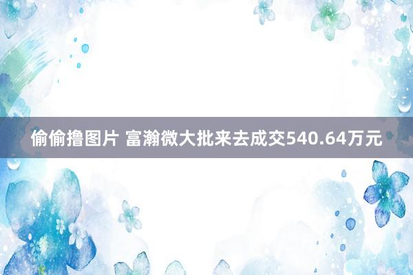 偷偷撸图片 富瀚微大批来去成交540.64万元