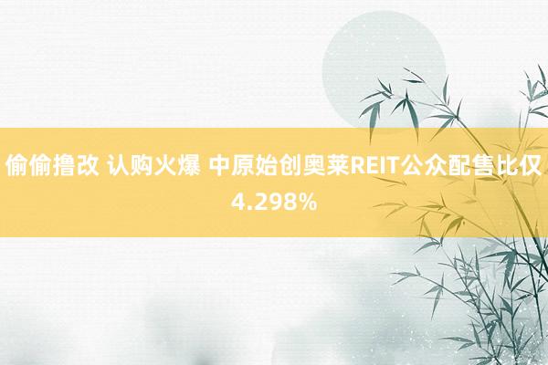 偷偷撸改 认购火爆 中原始创奥莱REIT公众配售比仅4.298%