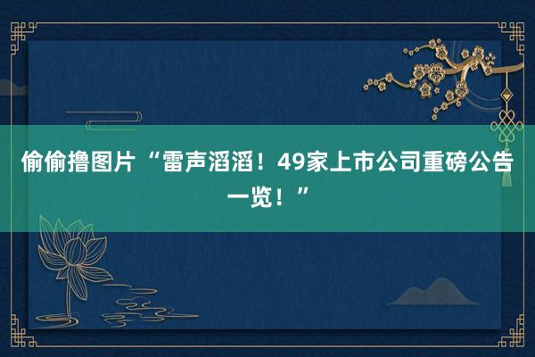 偷偷撸图片 “雷声滔滔！49家上市公司重磅公告一览！”