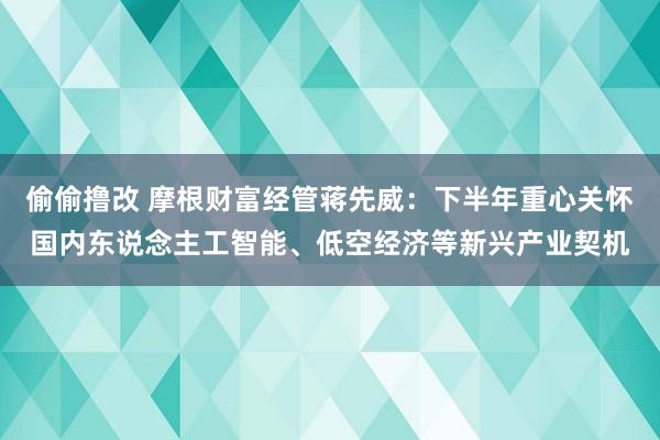 偷偷撸改 摩根财富经管蒋先威：下半年重心关怀国内东说念主工智能、低空经济等新兴产业契机