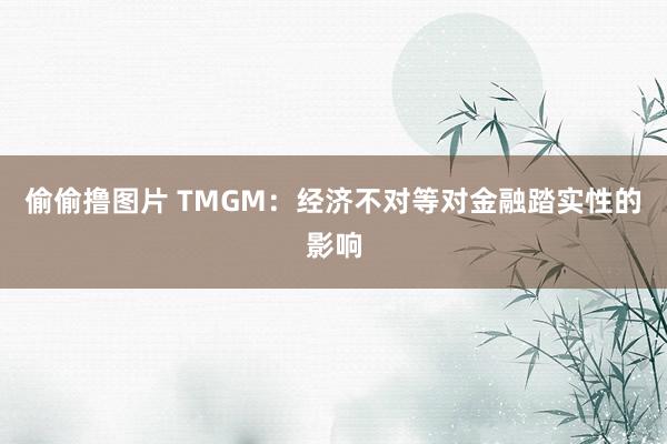 偷偷撸图片 TMGM：经济不对等对金融踏实性的影响