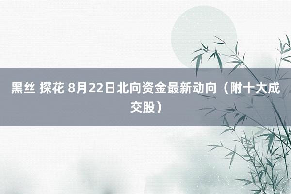 黑丝 探花 8月22日北向资金最新动向（附十大成交股）