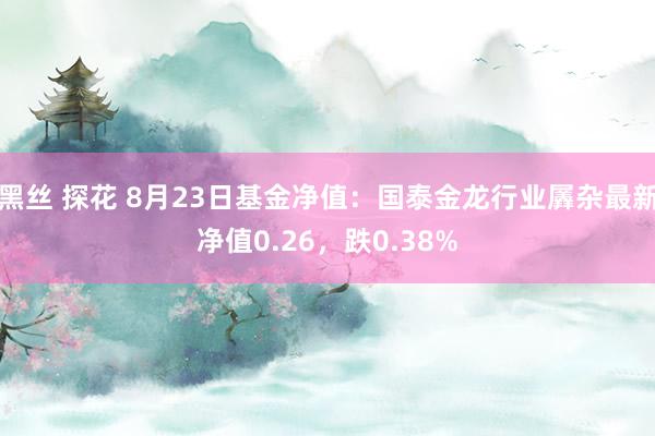 黑丝 探花 8月23日基金净值：国泰金龙行业羼杂最新净值0.26，跌0.38%