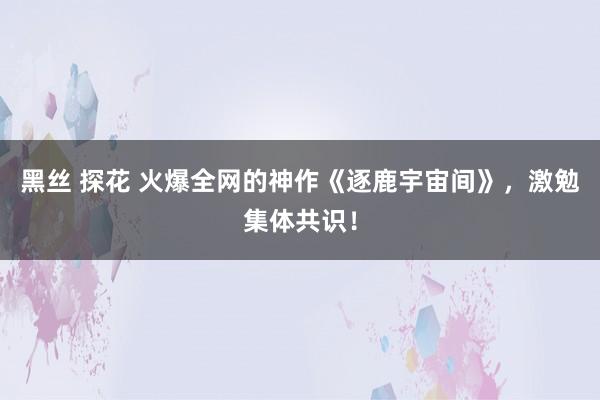 黑丝 探花 火爆全网的神作《逐鹿宇宙间》，激勉集体共识！