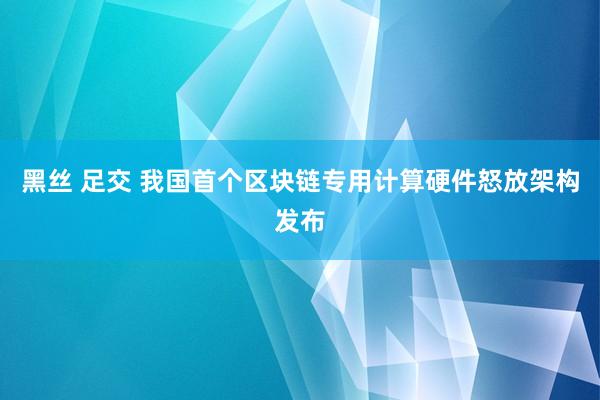 黑丝 足交 我国首个区块链专用计算硬件怒放架构发布