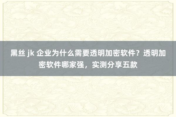 黑丝 jk 企业为什么需要透明加密软件？透明加密软件哪家强，实测分享五款