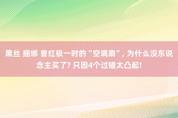 黑丝 捆绑 曾红极一时的“空调扇”， 为什么没东说念主买了? 只因4个过错太凸起!