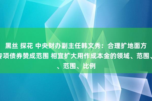 黑丝 探花 中央财办副主任韩文秀：合理扩地面方政府专项债券赞成范围 相宜扩大用作成本金的领域、范围、比例