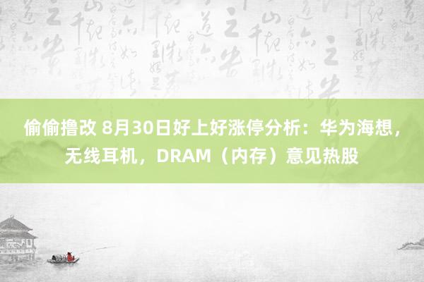 偷偷撸改 8月30日好上好涨停分析：华为海想，无线耳机，DRAM（内存）意见热股