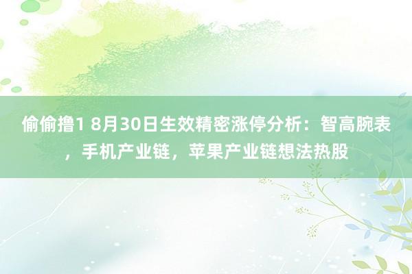 偷偷撸1 8月30日生效精密涨停分析：智高腕表，手机产业链，苹果产业链想法热股