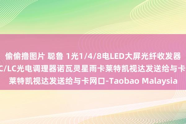 偷偷撸图片 聪鲁 1光1/4/8电LED大屏光纤收发器1000M纯千兆单多模SC/LC光电调理器诺瓦灵星雨卡莱特凯视达发送给与卡网口-Taobao Malaysia