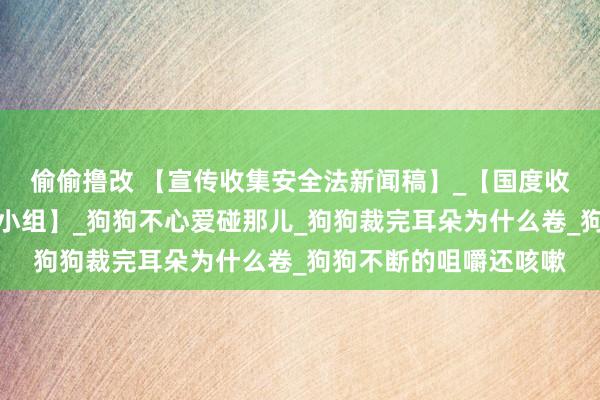 偷偷撸改 【宣传收集安全法新闻稿】_【国度收集安全与信息化联接小组】_狗狗不心爱碰那儿_狗狗裁完耳朵为什么卷_狗狗不断的咀嚼还咳嗽