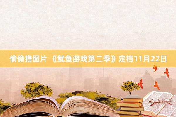 偷偷撸图片 《鱿鱼游戏第二季》定档11月22日