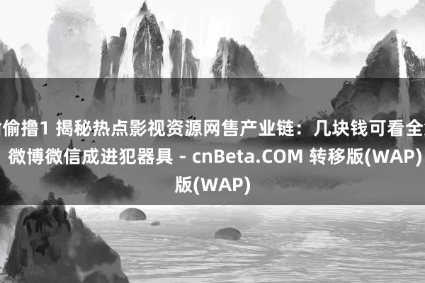 偷偷撸1 揭秘热点影视资源网售产业链：几块钱可看全集 微博微信成进犯器具 - cnBeta.COM 转移版(WAP)