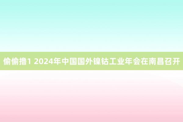 偷偷撸1 2024年中国国外镍钴工业年会在南昌召开