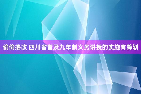 偷偷撸改 四川省普及九年制义务讲授的实施有筹划