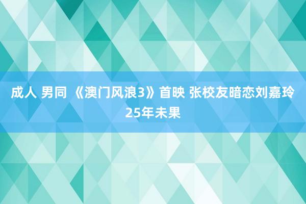 成人 男同 《澳门风浪3》首映 张校友暗恋刘嘉玲25年未果