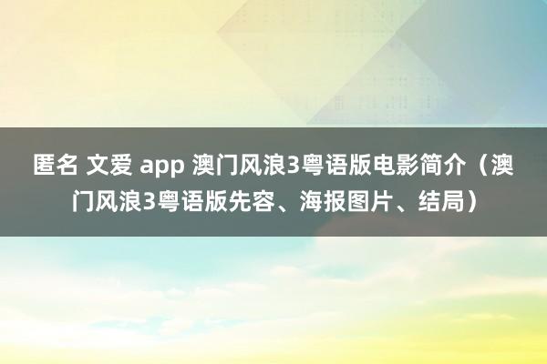 匿名 文爱 app 澳门风浪3粤语版电影简介（澳门风浪3粤语版先容、海报图片、结局）