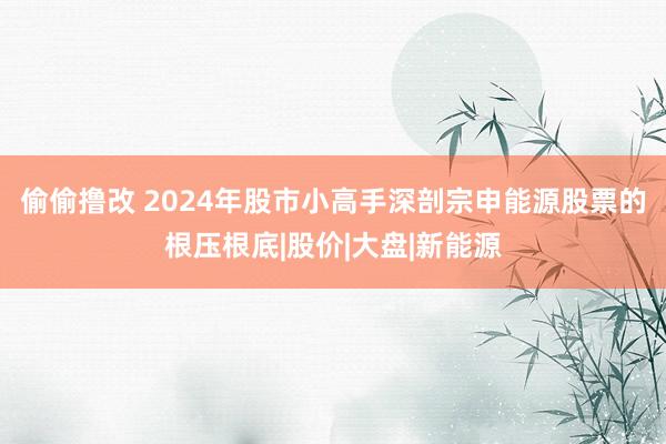 偷偷撸改 2024年股市小高手深剖宗申能源股票的根压根底|股价|大盘|新能源