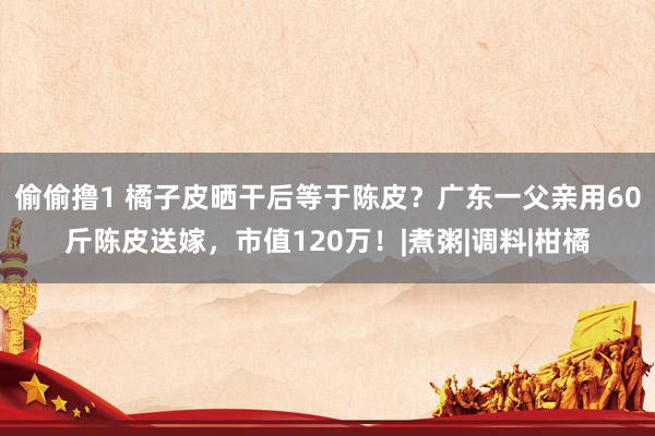 偷偷撸1 橘子皮晒干后等于陈皮？广东一父亲用60斤陈皮送嫁，市值120万！|煮粥|调料|柑橘